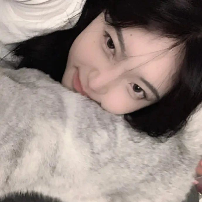 行动目标希特勒